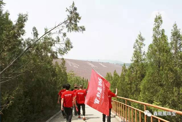 1497335121310775.jpg 14.jpg